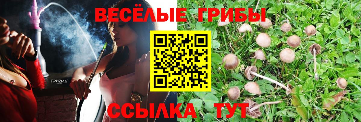 Куйбышев  Галлюциногенные грибы Psilocybine cubensis  купить наркотик  Вход с VPN 